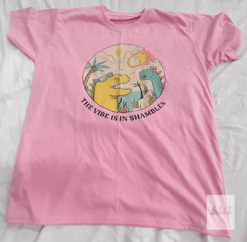 New Adult Unisex Pink Graphic T-shirt with Dinosaur Design and "THE VIBE IS IN SHAMBLES" Text