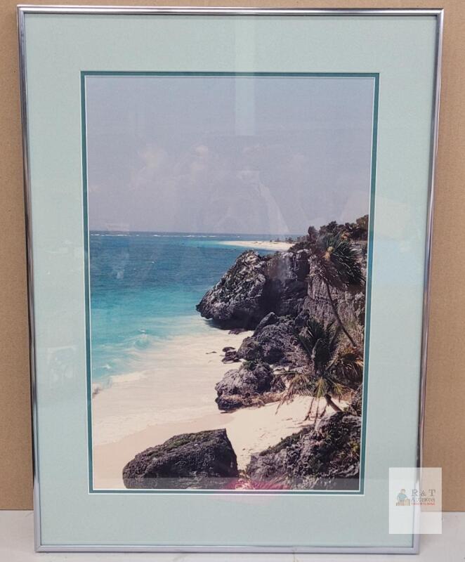 " Rocky Beach & Palm Trees " Framed Photo Enlargement . Measures 17"&times;23"