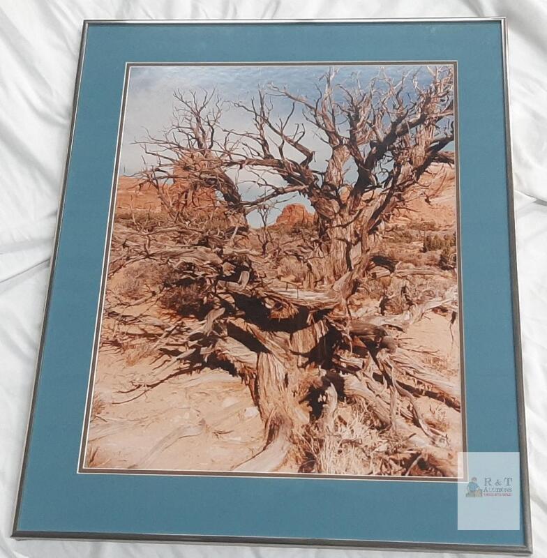 Framed Landscape Photograph with Blue Mat, Silver Metal Frame, 25"&times;21" in, Professionally Mounted