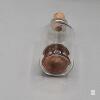 1969 Canadian Penny in Impossible Glass Bottle Display, 98% Copper Coin, Collectible Decor - 2