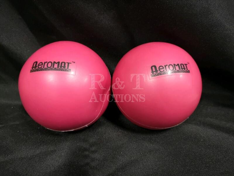 2 Weighted Exercise Balls - Aeromat