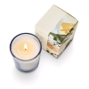 2 New Illume Picnic in the Park Candles - 65g - 3