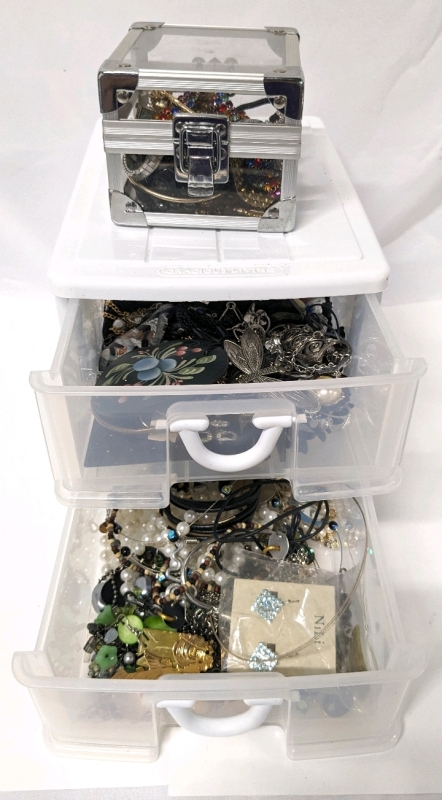 Unsorted Jewelry in 2 Organizers