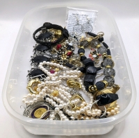 Unsorted Jewelry in Clear Bin