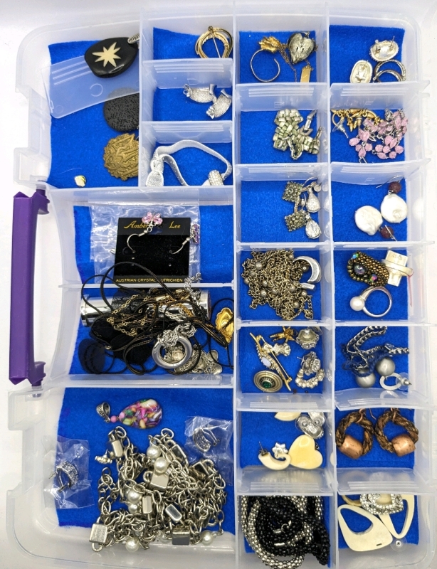 Unsorted Jewelry in Organizer