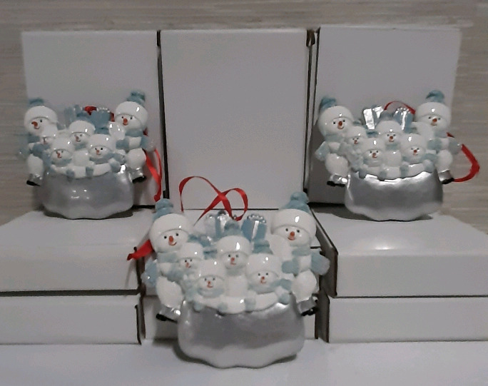 10 New Christmas Family Ornaments. Each individually boxed.