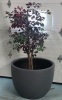 New 35" Diameter Lightweight Extra Large Fiberglass Bowl Planter , Grey - 3