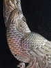 Statement Peacock Collar Necklace - 3