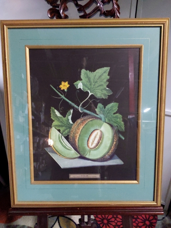 Green Flesh Melon