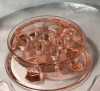 Pink Depression Glass Bowl With Flower Frog - 3