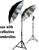 NEW Canadian Studio Photo / Video 1000watt Light & Backdrop Kit - 4