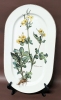 VILLEROY & BOCH Luxembourg Porcelain: Vilbofour Paradiso Casserole Dish & Botanica Oval Dishes - 7