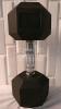 New Inspire 30lb Hex Dumbbell