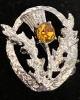 Citrine Signed UK Hollywood Thistle Brooch