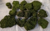 Decorative Moss for Modeling or Other Crafts.
