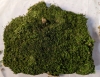 Decorative Moss for Modeling or Other Crafts. - 2