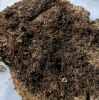 Decorative Moss for Modeling or Other Crafts. - 3