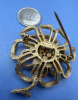 Vintage Crown Triffari Creme Pearl Brooch - 3
