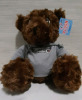 New Carleton University Teddy Bear wearing a Gray Hoodie