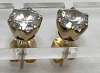 10K Gold 6 Claw Set Stone Earrings - 5