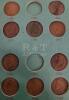 1881 - 1909 USA Indian Head Pennies in Booklet - 23 Coins - 4
