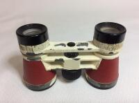Vintage Opera Glasses & Leather Case