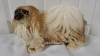 Lhasa Apso Plate & Pekingese Figurine - 5