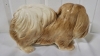 Lhasa Apso Plate & Pekingese Figurine - 6