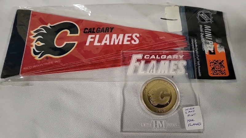 Vintage Calgary Flames Coin & 8 Mini Pennants