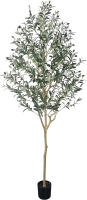 Phimos Artificial Olive Tree. 6.23 feet.