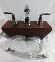 Moen Faucet + Hose