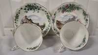 2 Royal Albert Tea Cups & Saucers