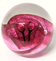 Glass Eye Studio Seattle Washington Paperweight