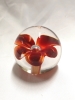 VENINI Glass Paperweight - 5