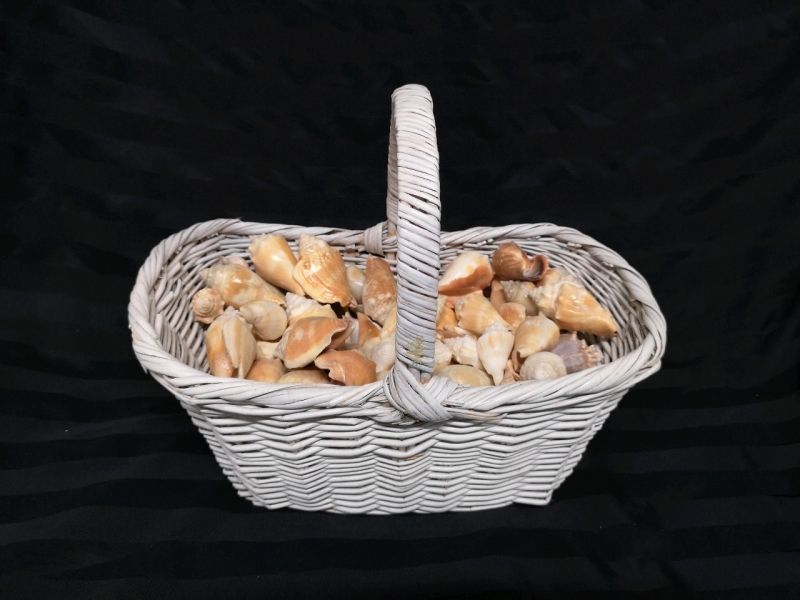 Wicker Decorative Basket & Decorative Shells