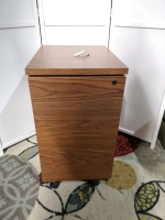 2 Drawer Locking Filing Cabinet with keys on Castors