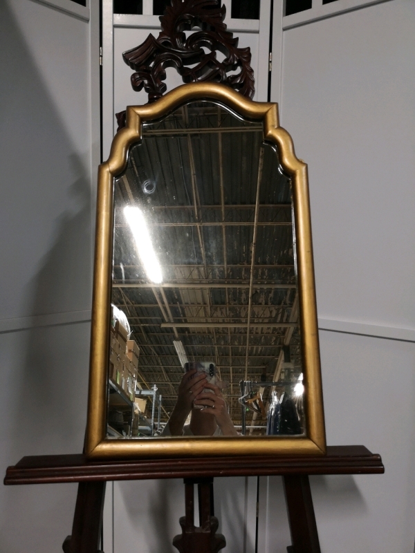 Framed Mirror - 15.75" by 28" tall