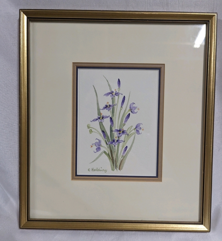 Signed Framed Watercolour Painting - Carole Holding