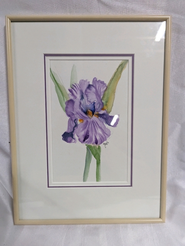 Framed Signed Watercolour