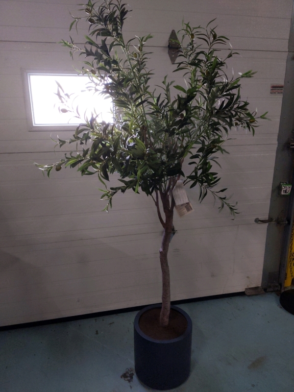 New! Lifelike Olive Tree