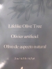 New! Lifelike Olive Tree - 3