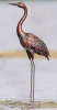 New Metal Heron Garden Art - 48in Tall