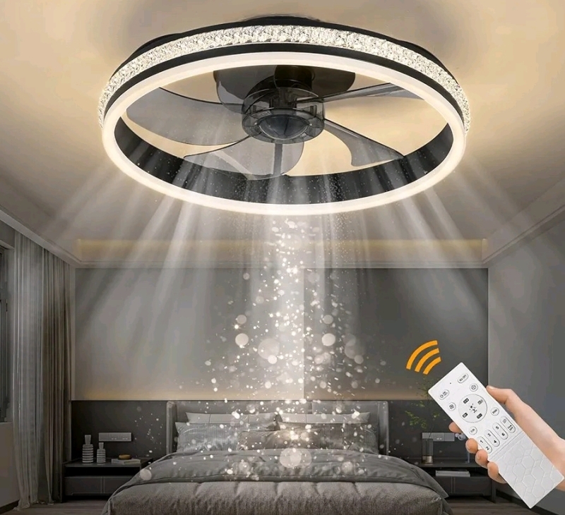 LTSAERU Low Profile Ceiling Fan with Lights 19in Diameter with Remote Control