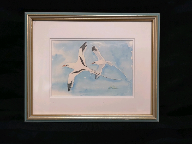 Framed Sea Bird Print - signed Joan Forbes