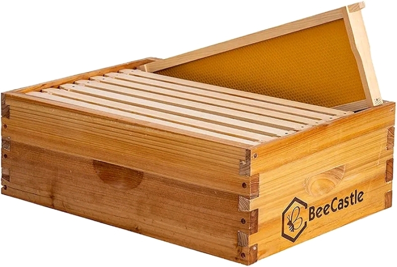 BeeCastle 8-Frame Heavy Wax Coated Langstroth Medium Box with Frames - New