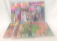 ADULTS ONLY! 10 Vintage Adult / Porno Magazines (Stag, XXX Movie Illustrated, Club, Adult Movies, Cheri)