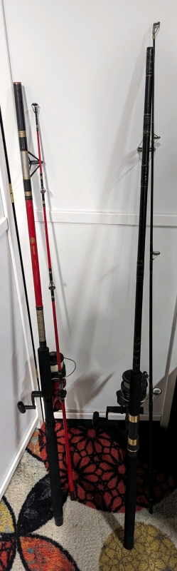 2 Fishing Rods with Reels.