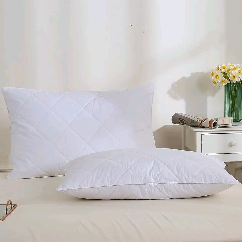 2 Three Geese Goose Down King Size Pillows