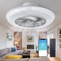 AnEgoe 23" Ceiling Fan with Light and Remote Control