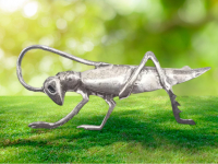 Sterling Silver Grass Hopper Brooch